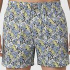 Men's Light Blue Regular Fit Solid Boxers, हल्का नीला, small