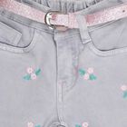 Girls' Light Grey Regular Fit Embroidered Jeans, Light Grey, small image number null