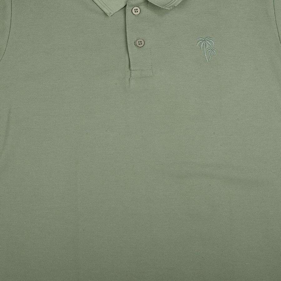 Boys' Sage Green Polo Neck Polo T-Shirt, हल्का हरा, large