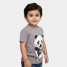 Boys Light Grey Crew Neck Casual T-Shirt, Light Grey, small image number null