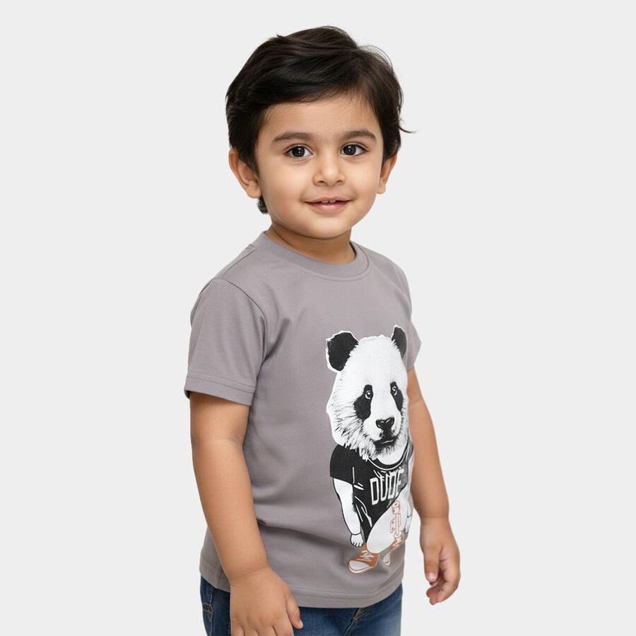 Boys Light Grey Crew Neck Casual T-Shirt, Light Grey, large image number null