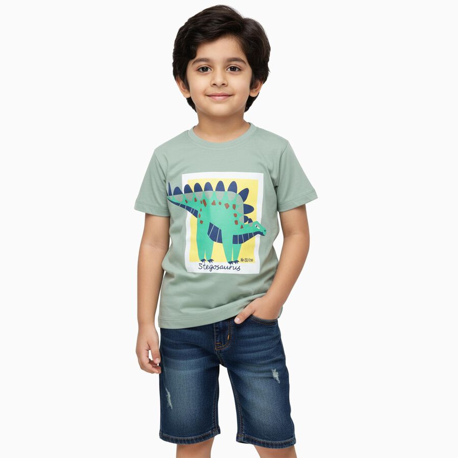Boys Light Sage Green Cotton Crew Neck Casual T-Shirt, हल्का हरा, large image number null