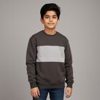 Boys' Dark Charcoal Grey Crew Neck Casual Sweatshirt, गहरा ग्रे, small image number null