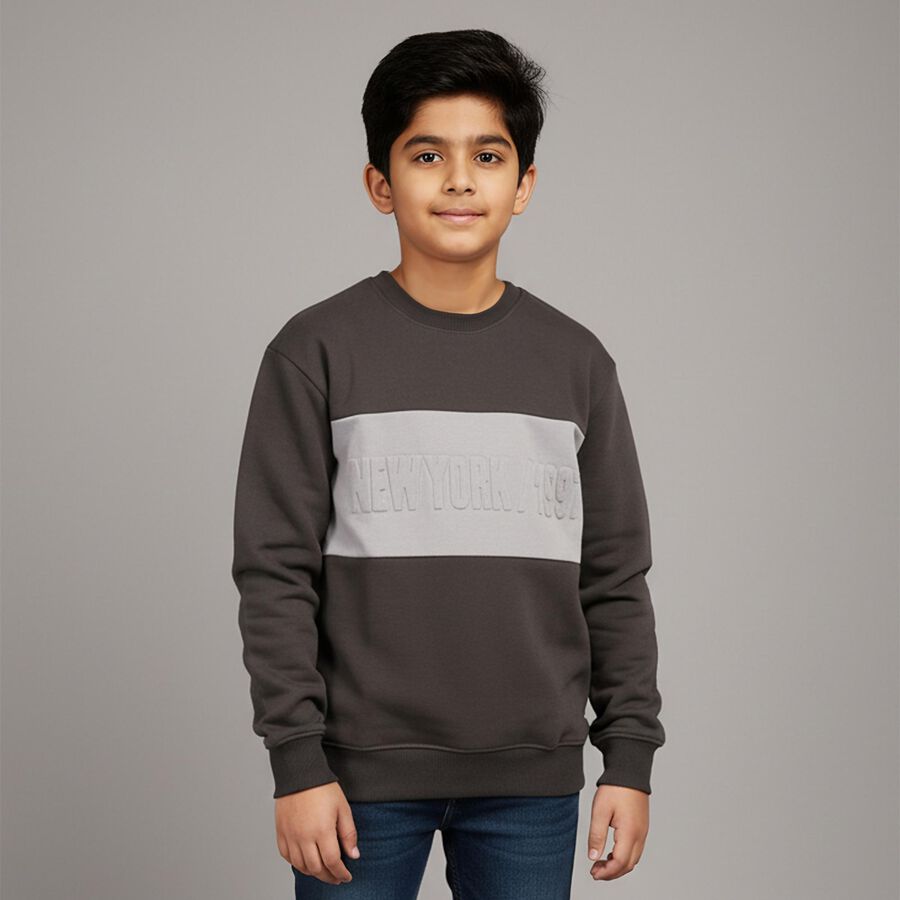 Boys' Dark Charcoal Grey Crew Neck Casual Sweatshirt, गहरा ग्रे, large image number null