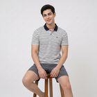 Men's White Polo Neck Striped Drifit T-Shirt, Off White, small
