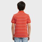 Boys Bright Cherry Red Cotton Crew Neck Casual Half Sleeve T-Shirt, Red, small