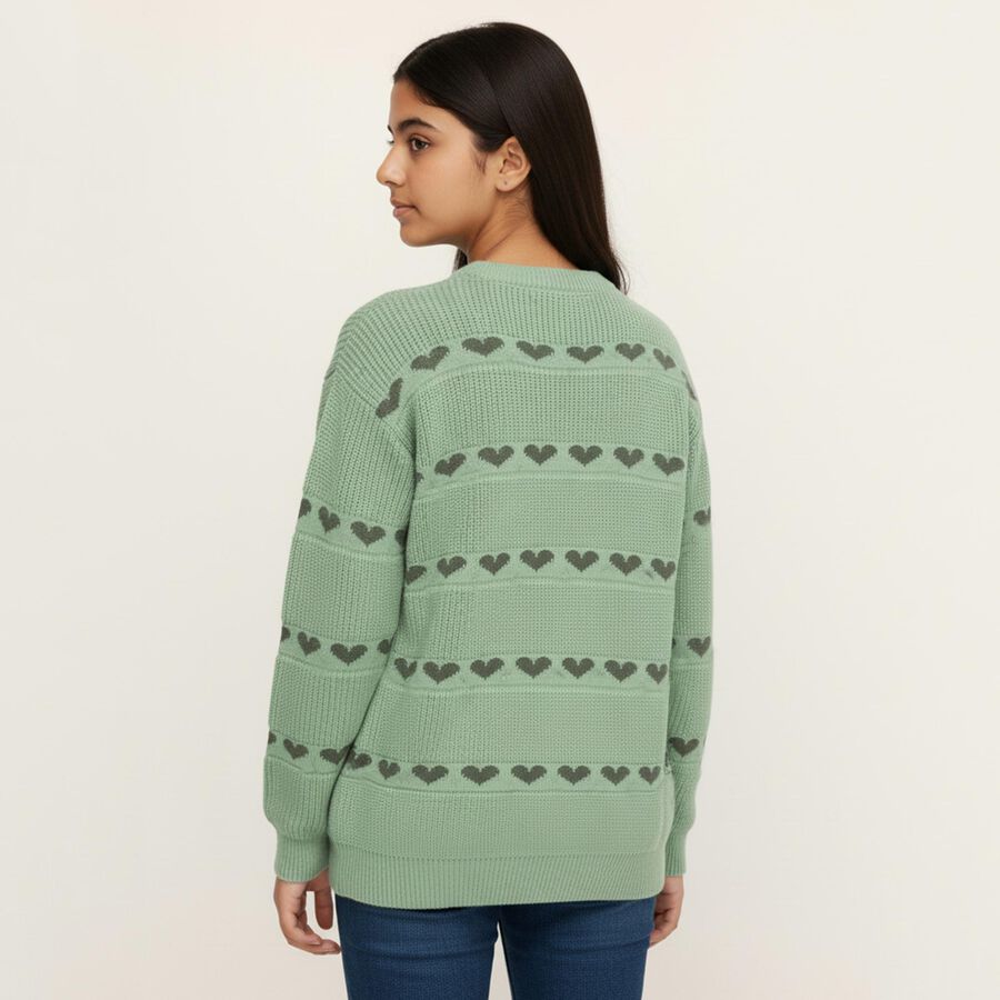 Girls Light Sage Green Crew Neck Casual Pullover, हल्का हरा, large image number null