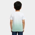 Boys' White and Mint Green Cotton Round Neck Casual T-Shirt, हल्का हरा, small