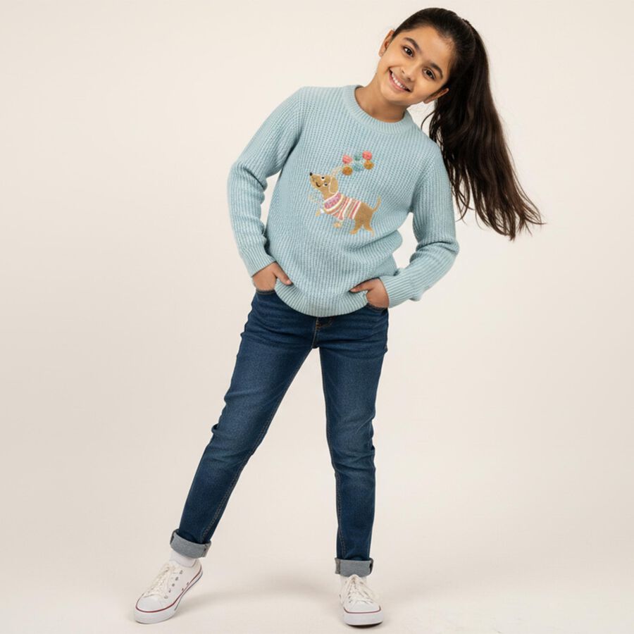 Girls Light Powder Blue Crew Neck Casual Pullover, Light Blue, large image number null