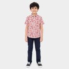 Boys' Red Cotton Short Sleeves Spread Collar Regular Fit Shirt, Red, small