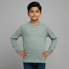 Boys' Light Sage Green Crew Neck Casual T-Shirt, हल्का हरा, small image number null
