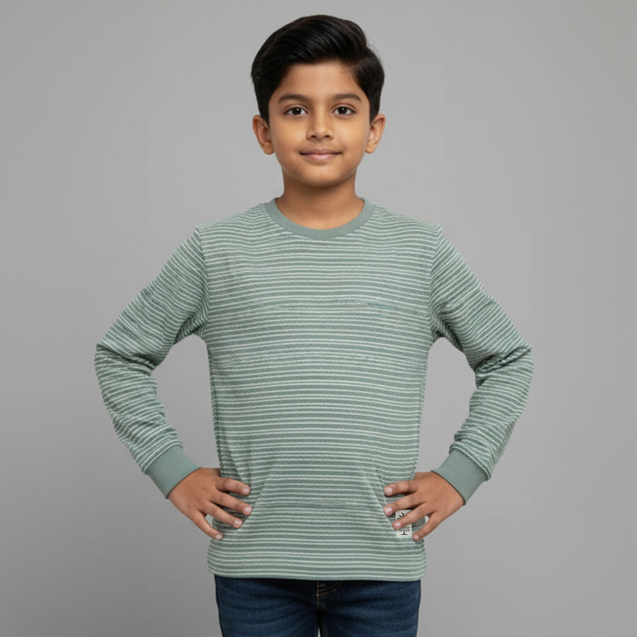 Boys' Light Sage Green Crew Neck Casual T-Shirt, हल्का हरा, large image number null