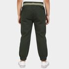 Boys' Olive Green Regular Fit Elastic Waist Trousers, ओलिव, small