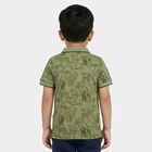 Boys Olive Green Cotton Polo Neck Casual T-Shirt, Olive, small