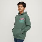 Boys' Sweatshirt, गहरा हरा, small image number null
