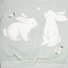Infants Light Sage Green Crew Neck Casual Sweatshirt, हल्का हरा, small image number null