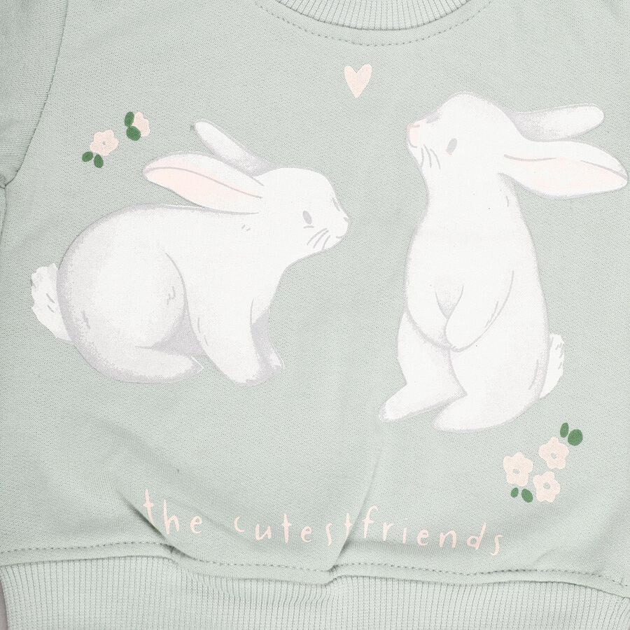Infants Light Sage Green Crew Neck Casual Sweatshirt, हल्का हरा, large image number null