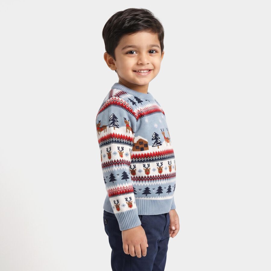 Boys Light Blue Crew Neck Printed Pullover, हल्का नीला, large