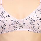 Ladies' 100% Cotton Bra , लाइलेक, small