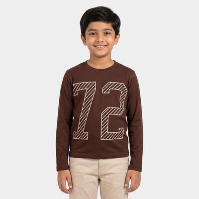 Boys Brown Crew Neck Regular T-Shirt