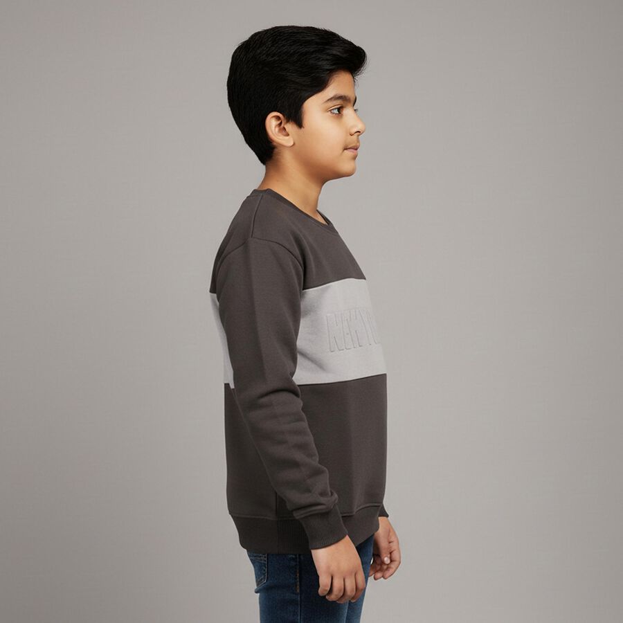 Boys' Dark Charcoal Grey Crew Neck Casual Sweatshirt, गहरा ग्रे, large image number null