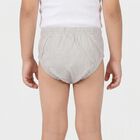 Boys Grey Regular Fit Printed Briefs, Light Grey, small
