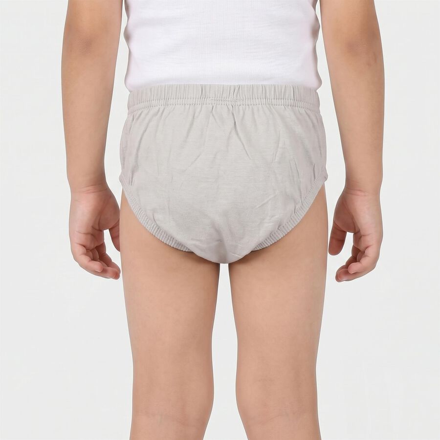 Boys Grey Regular Fit Printed Briefs, Light Grey, large