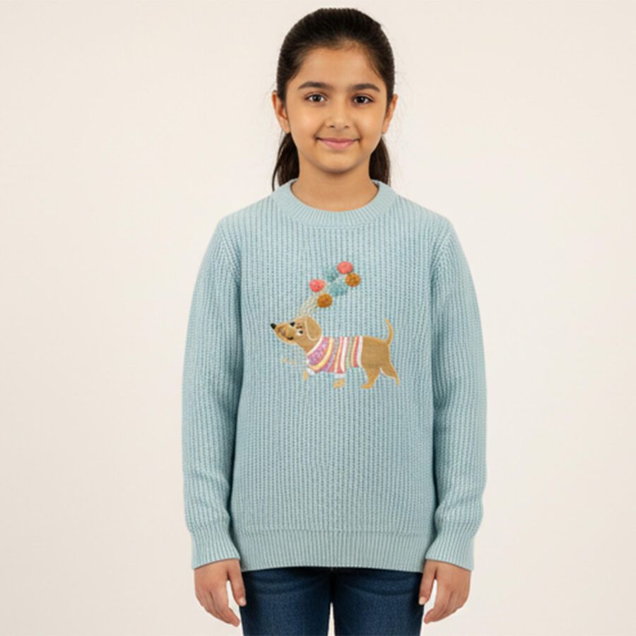 Girls Light Powder Blue Crew Neck Casual Pullover, Light Blue, large image number null