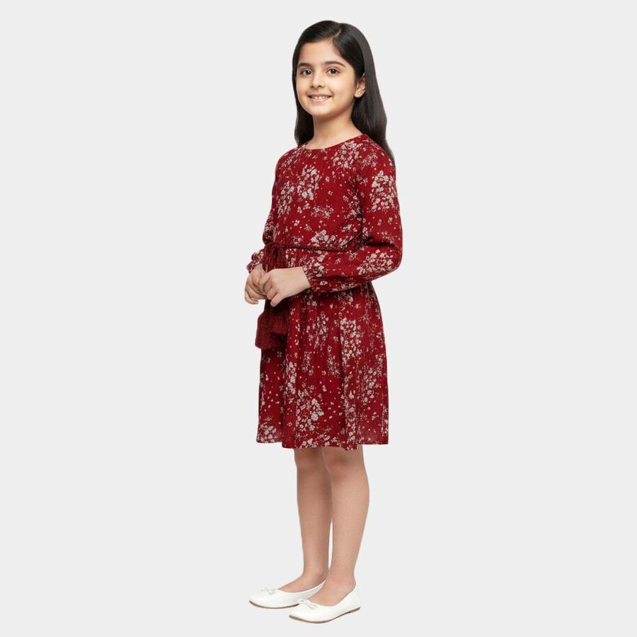 Girls' Deep Crimson Red Round Neck Floral Print Dress, वाइन, large image number null