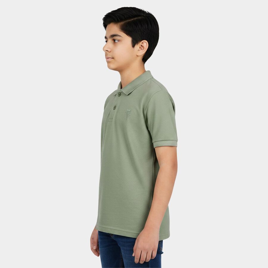 Boys' Sage Green Polo Neck Polo T-Shirt, हल्का हरा, large