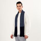 Men's Muffler, गहरा नीला, small image number null