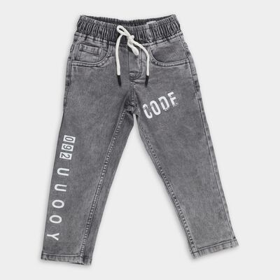 Boys' Washed Grey Regular Fit Printed Jeans