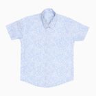 Boys' 100% Cotton Casual Shirt, Light Blue, small image number null