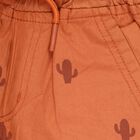 Boys' Cotton Bermudas, Rust, small image number null