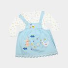 Infants' Light Blue Fit and Flare Embroidered Pinafore Frock, हल्का नीला, small