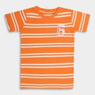 Boys' 100% Cotton Half Sleeves T-Shirt , नारंगी, small image number null