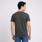 Men's Olive Green Round Neck Regular T-Shirt, हल्का हरा, small
