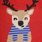 Boys Bright Cherry Red Crew Neck Casual Pullover, लाल, small image number null