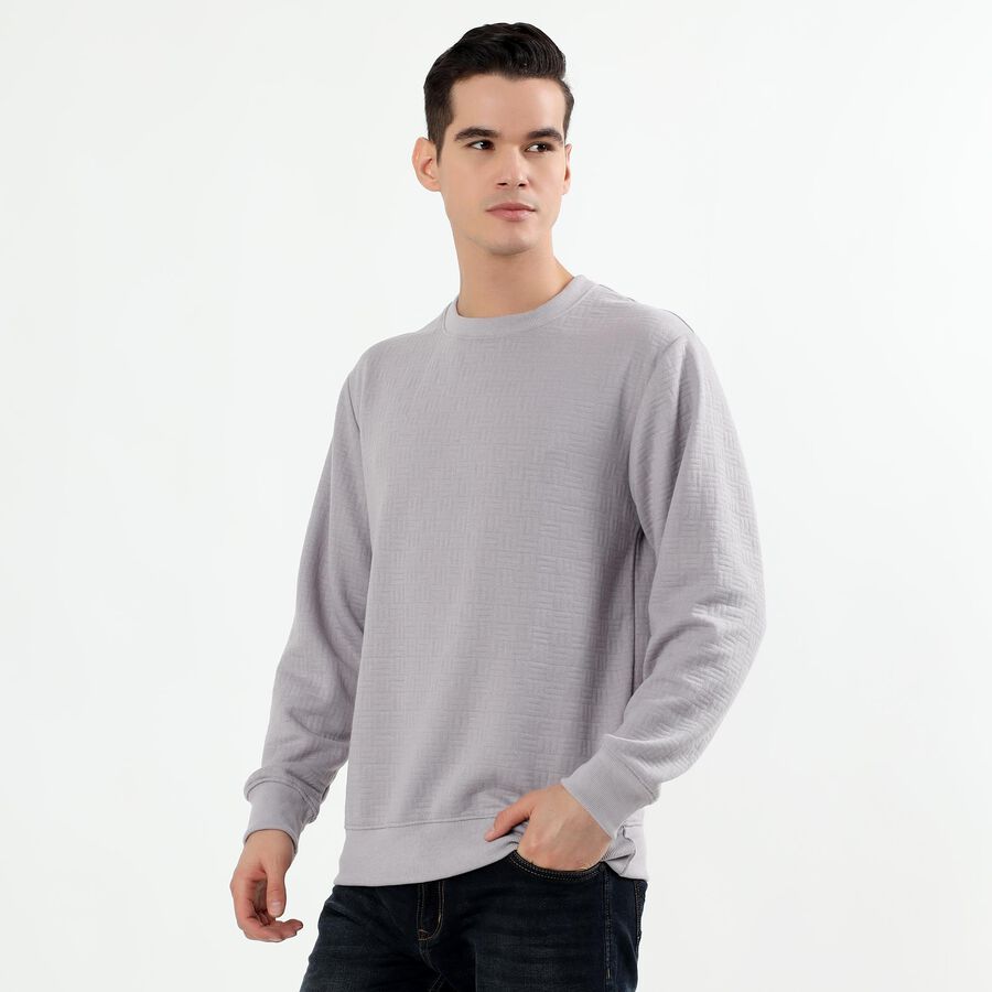 Men's Light Grey Crew Neck Textured Sweatshirt, हल्का ग्रे, large image number null