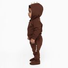 Infants' Brown Cotton Blend Hooded Dinosaur Baba Suit, Brown, small image number null