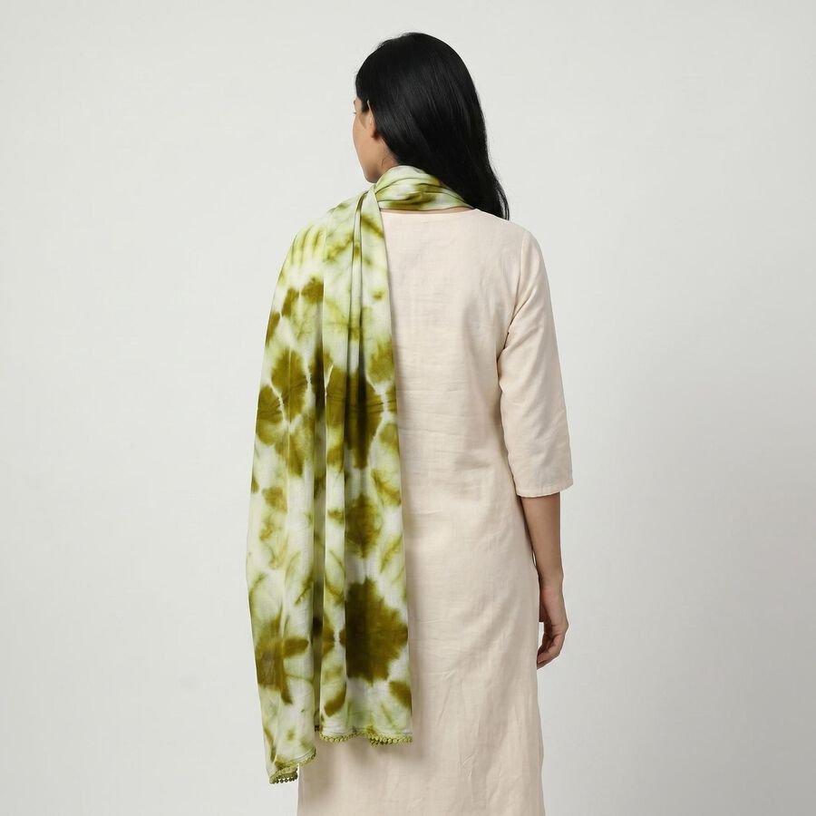 Women's Green Printed Dupatta, Light Green, large