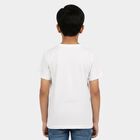 Boys White Round Neck Regular Boys T-Shirt, सफ़ेद, small