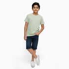 Boys' 100% Cotton Half Sleeves T-Shirt, हल्का हरा, small image number null