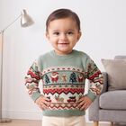 Infants' Mint Green Crew Neck Printed Pullover, Light Green, small