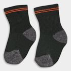Infant's Socks (Pack of 2), Dark Green, small image number null