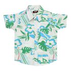 Boys Light Green and Blue Cotton Half Sleeve Classic Casual Shirt, हल्का हरा, small image number null