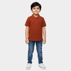 Boys Brown Polo Neck Polo T-Shirt, भूरा, small