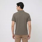 Men Olive Green Polo Neck Polo T-Shirt, Olive, small