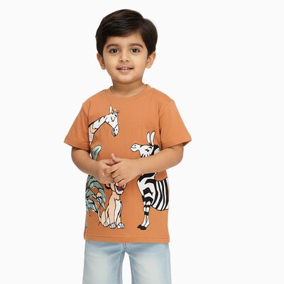 Boys Warm Terracotta Orange Cotton Round Neck Casual T-Shirt