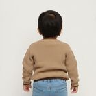 Infants Beige Crew Neck Casual Pullover, Brown, small image number null